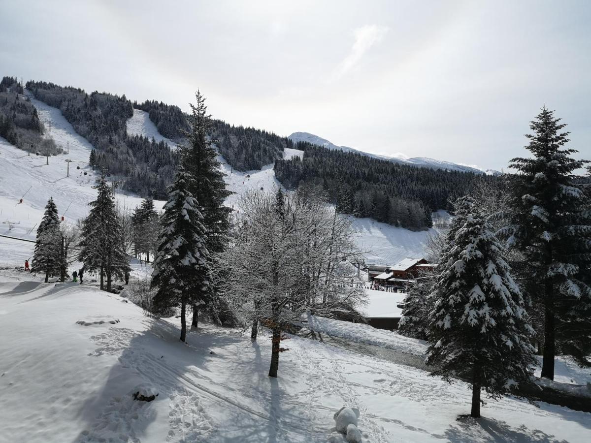 Le Balcon De Villard Экстерьер фото